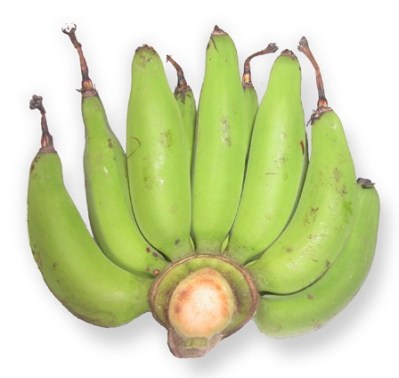 f064c-kochbananenschatten