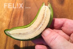 kochbananen_schaelen