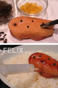 14133-ente_orangenreis_steps