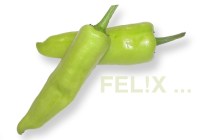 78e42-malumirissschattenfh