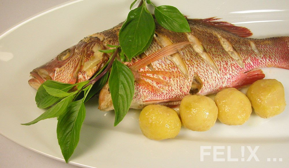Fisch_ganz_Kartoffeln_1024