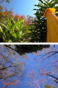 8e81e-kautschuk_herbst