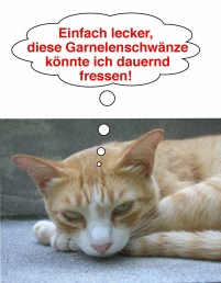 aafab-caramel_crevetten