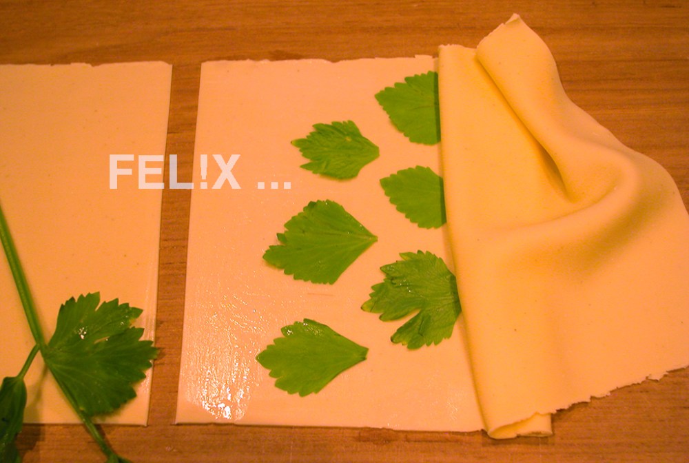 Pappardelle_schneiden