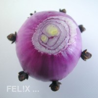 fad3a-schalotte_nelken