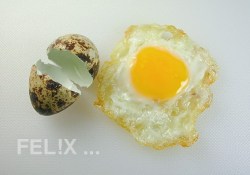 14f03-wachtel-spiegelei