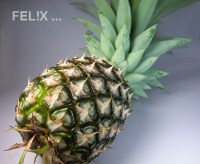 89832-ananas_nicht_ganz_reif