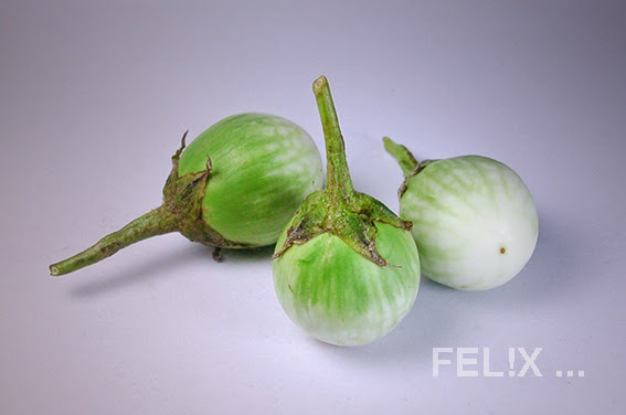 f4910-auberginen_eigross