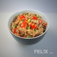 6877a-thunfischfuellung