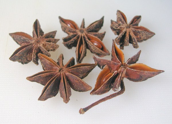 Sternanis_Beitragsbild