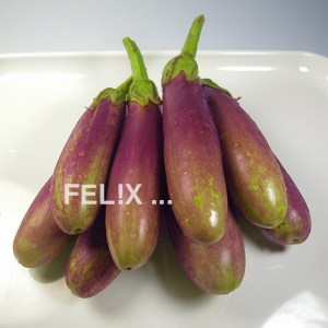 6b83a-auberginen_violett