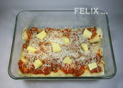 03d50-cannelloniform_2