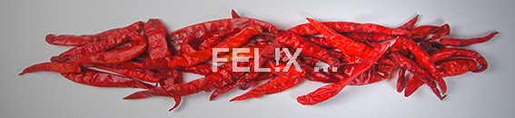 45a19-chili_getrocknet