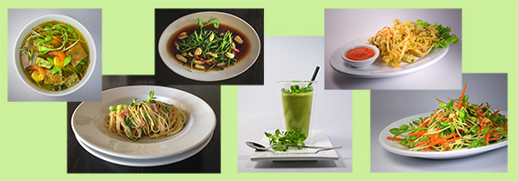 09adc-diversegerichte_quer