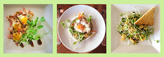 b5b18-eiergerichte_quer