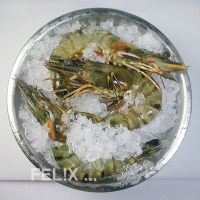 96ff8-tigercrevetteneis