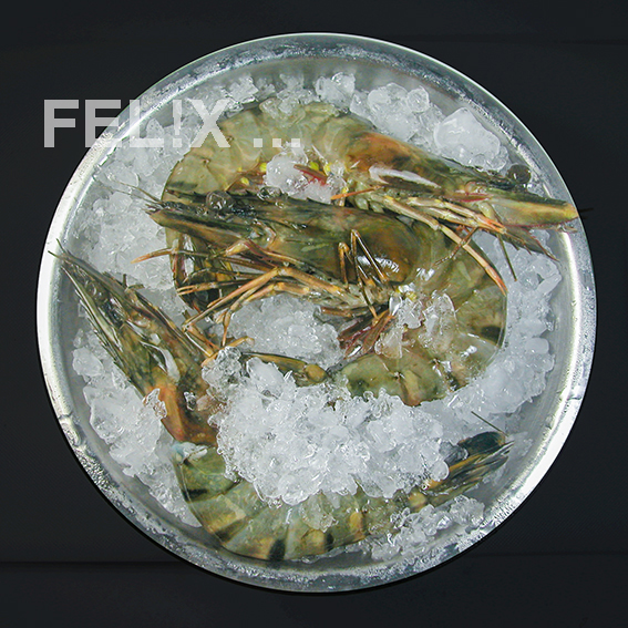 TigerCrevettenEisSchwarzFH