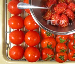 baaf8-tomaten_aushocc88hlen