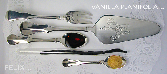 94875-vanille_r2526b