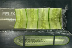 08908-form2bauslegendscn6803