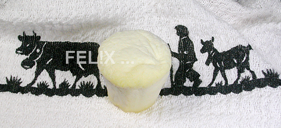 9644b-ricotta_salata