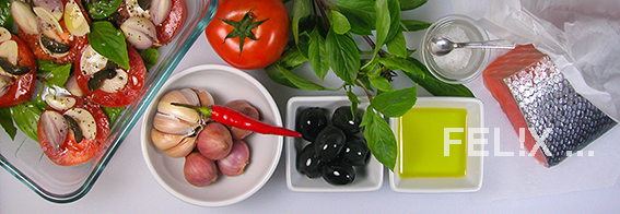 0ab86-salm_conf_tom_mep