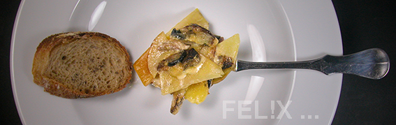 f1430-gemuese-gratin_loeffel