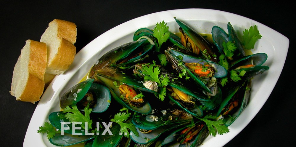 MuschelnAromaFond_1024