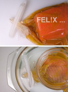 dc260-salmfilet_beutel_wasserbad