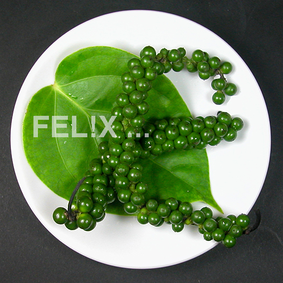 289fc-gruener2bpfefferdscn6439