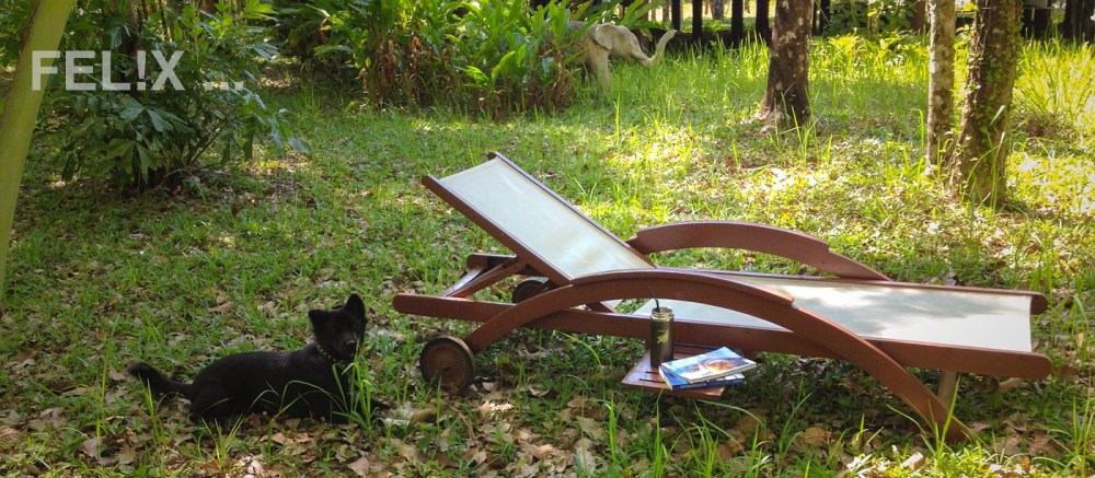 51579-liege_mit_mali