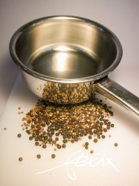 22cc1-pfeffer_zerstossen