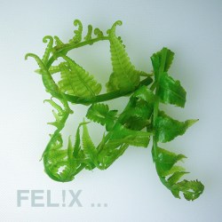 0aa2b-phakguutspitzen