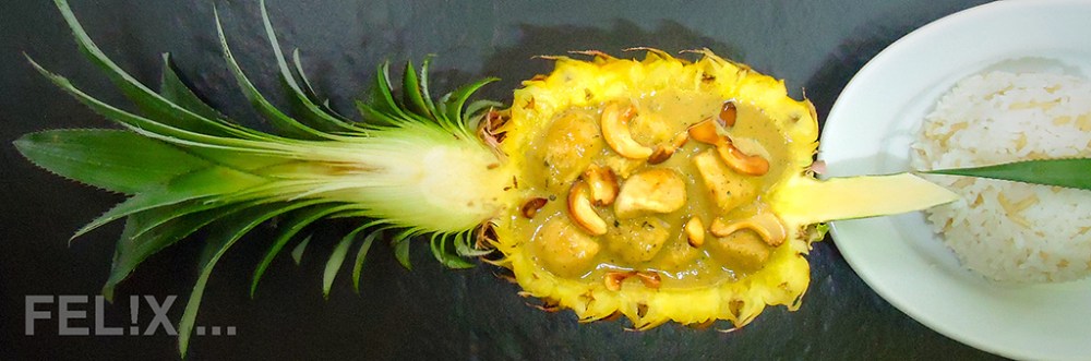 ChickenCurryAnanas_fuer2.jpg