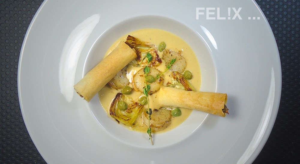 JakobsmuschelnFiloroellechen