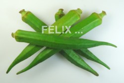 OKRA MIT TOMATEN