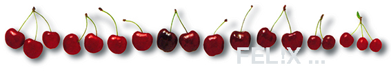 4f366-kirschenreihe