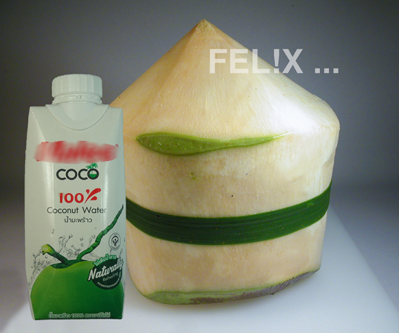 e4a99-kokosnuss_jung_produkt