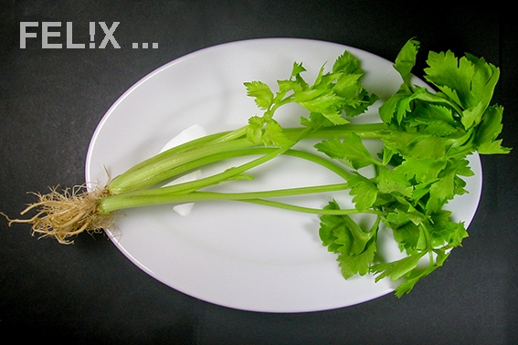 d5809-selleriedscn6360