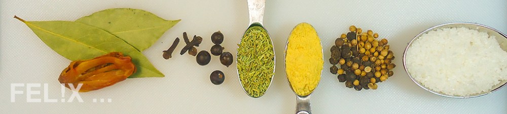 SchinkenGewuerze_MeP