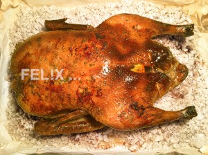 Ente_gebraten_FH