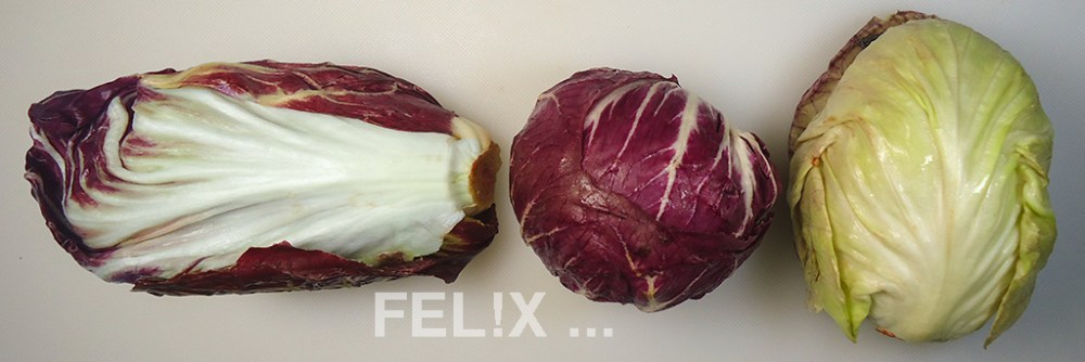 TrevisoChioggiaCastelfranco