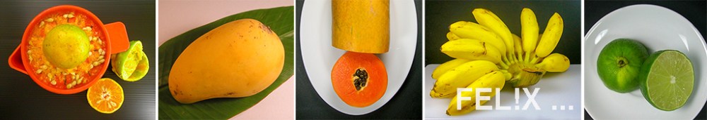 Vierfrucht_MeP_Fruechte_1024