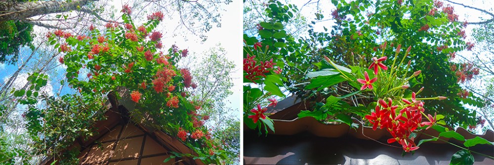 SalaGiebel_undDetail