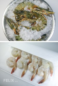 CrevettenEis_und_Tail_on