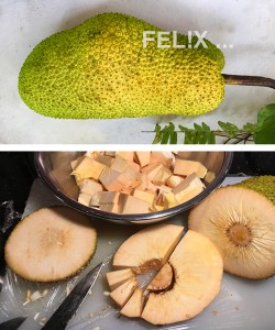 Jackfrucht_Steps