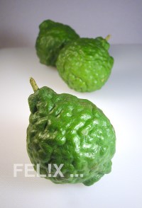 Kaffirlimetten_neu