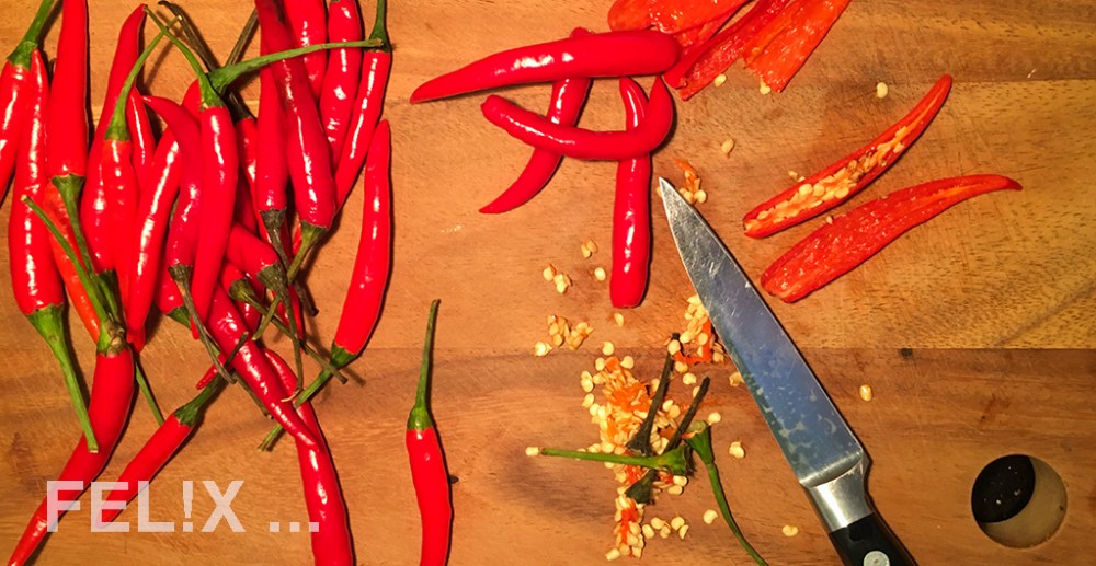 Chili_entkernen