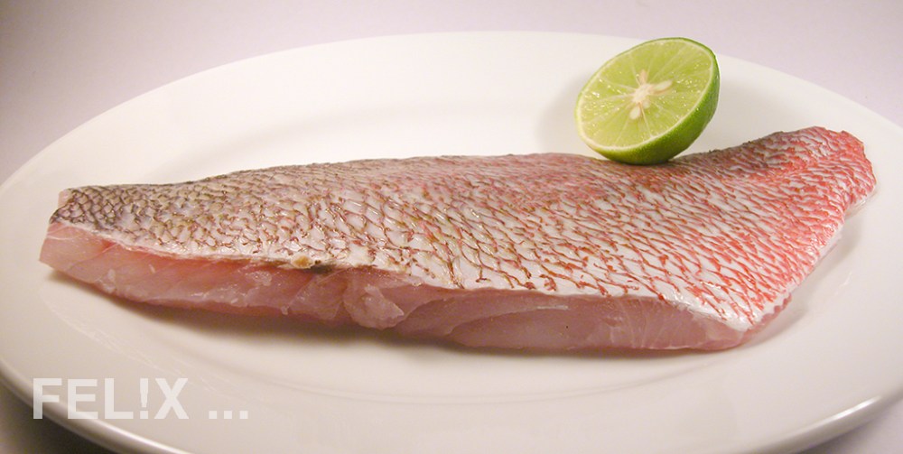 RedSnapperFilet