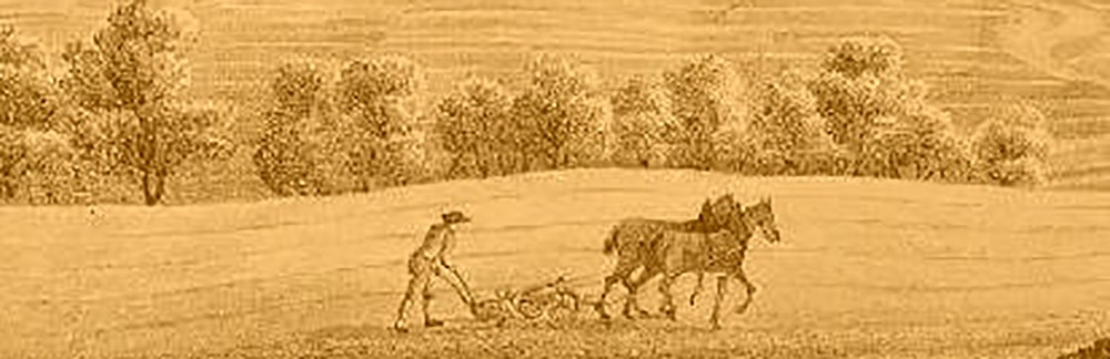 Im_Maerzen_der_Bauer